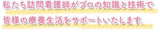 私たち訪問介護士がプロの知識と技術で皆様の療養生活をサポートいたします。